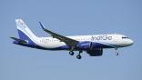 Indigo jet